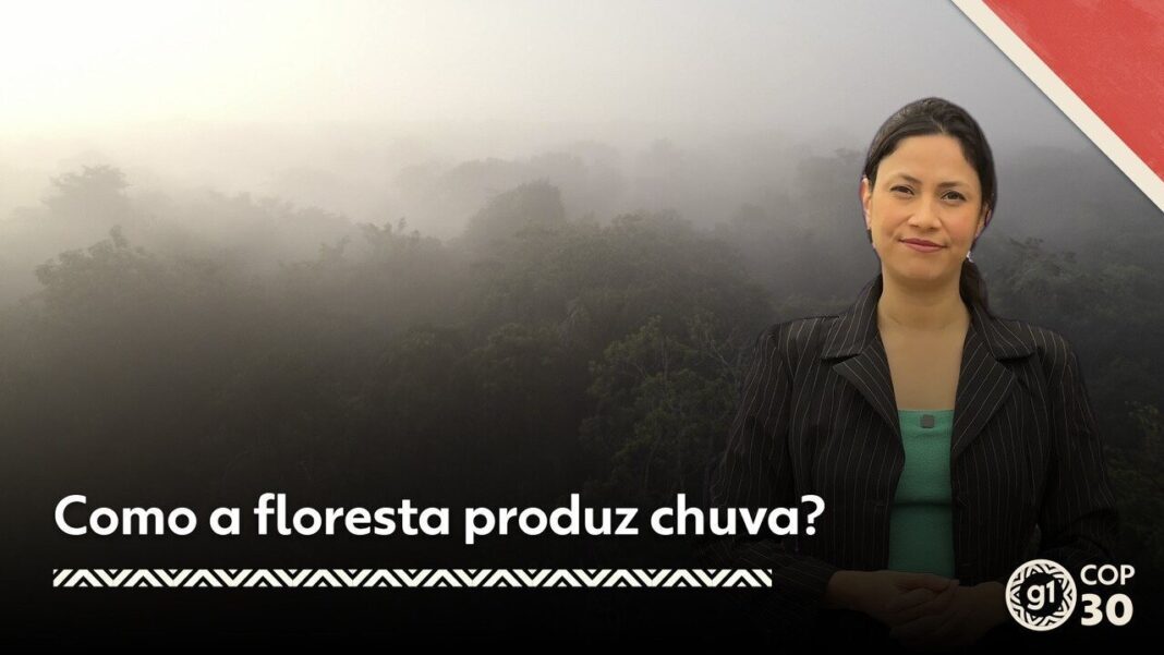 Unesco reconhece 26 novas reservas da biosfera na Indonésia, na Islândia e em Angola