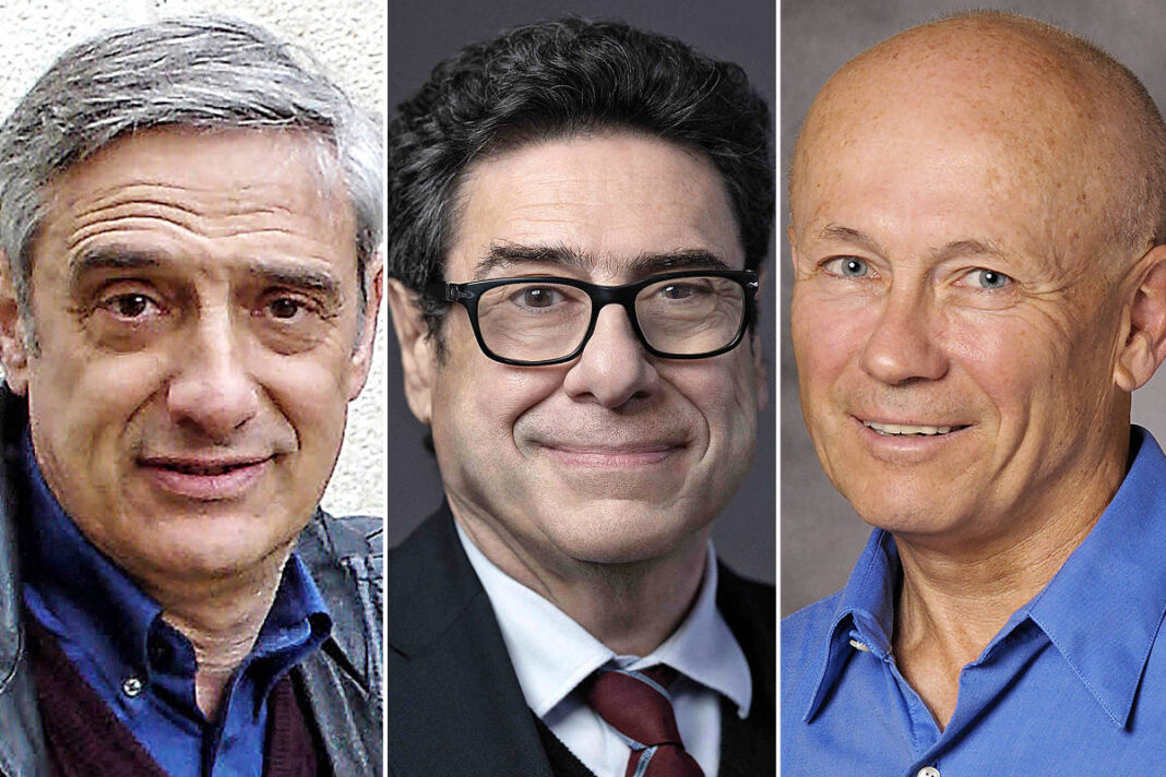 O Brasil dos bancos, sob a ótica do Nobel – 19/10/2025 – Marcos de Vasconcellos