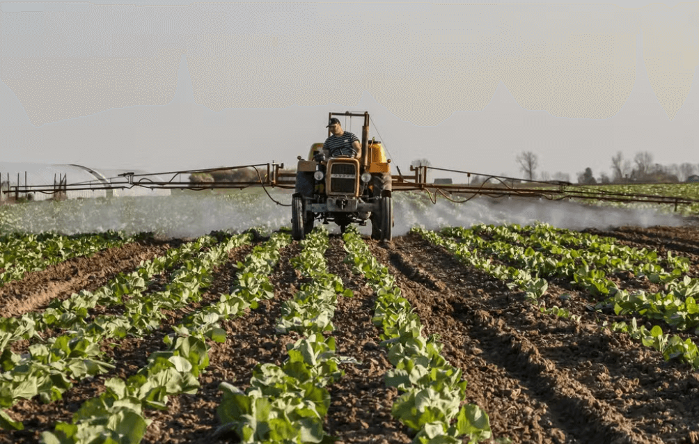 Painel Agropecuária Paranaense: Como os Dados Estão Impulsionando o Crescimento do Campo