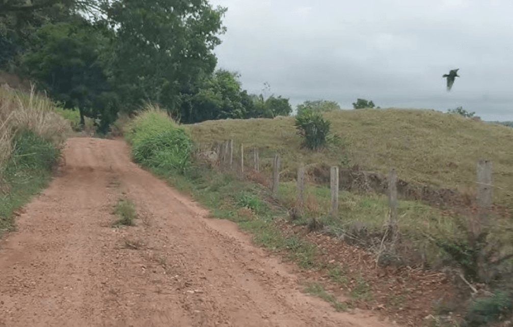 Infraestrutura no Paraná: Mais propaganda do que asfalto de verdade?