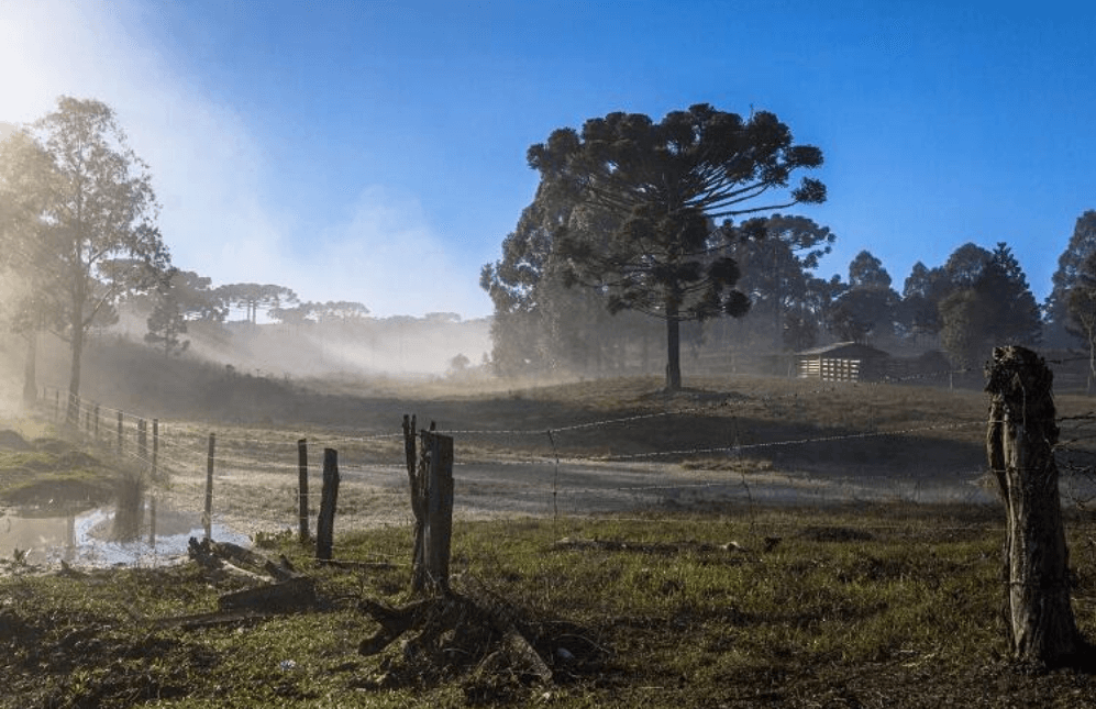 Como o Clima do Paraná Molda Nosso Jeito de Trabalhar