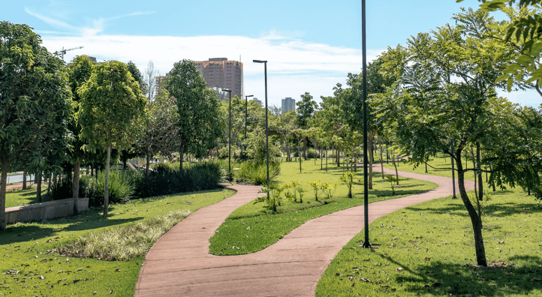 Como Organizar sua Rua para Melhorar a Vida do Bairro