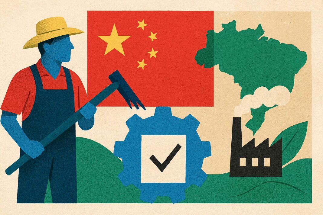 MST faz parcerias com a China para fortalecer agricultura familiar