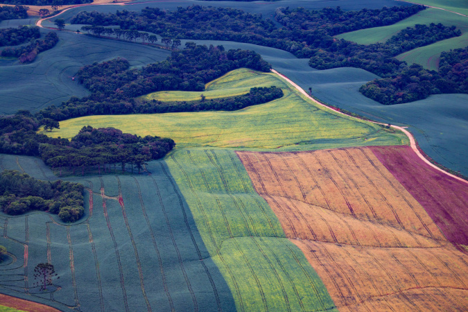 TRF4 mantém decisão que garante regularização ambiental e segurança jurídica a agricultores paranaenses