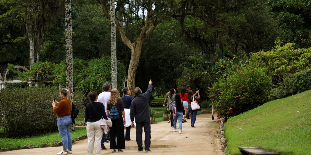 Dia da Consciência Negra: Jardim Botânico do Rio tem programa especial