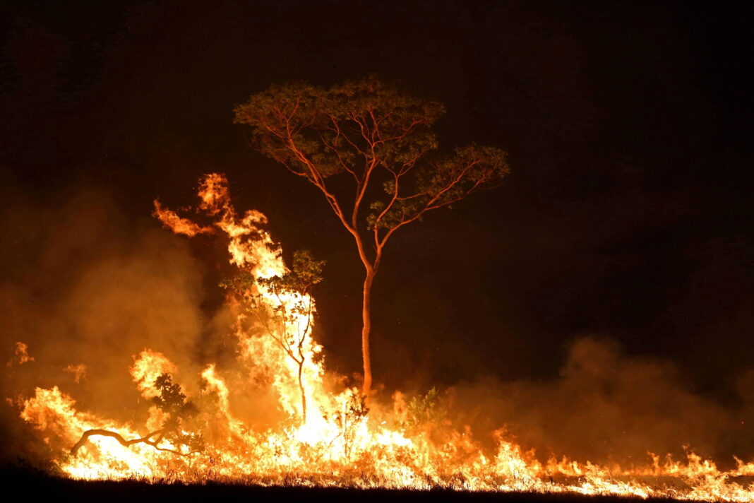 Indígenas do AM acionam órgãos públicos por dano ambiental – 08/11/2025 – Painel
