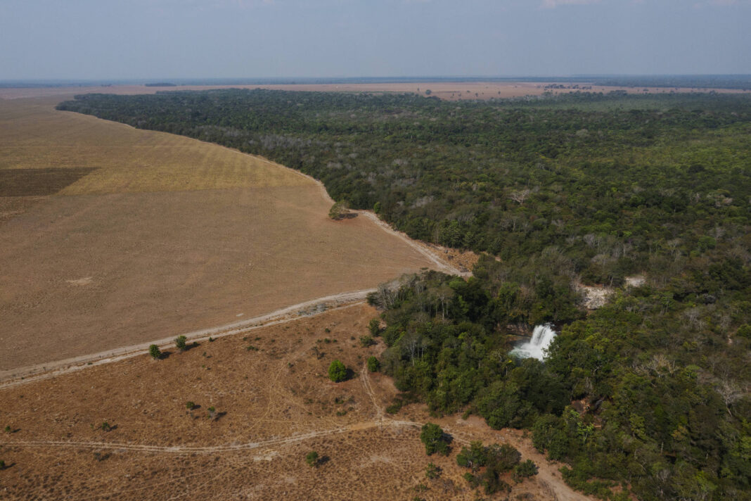 MT quer ir à Justiça contra demarcação de terras indígenas – 20/11/2025 – Ambiente