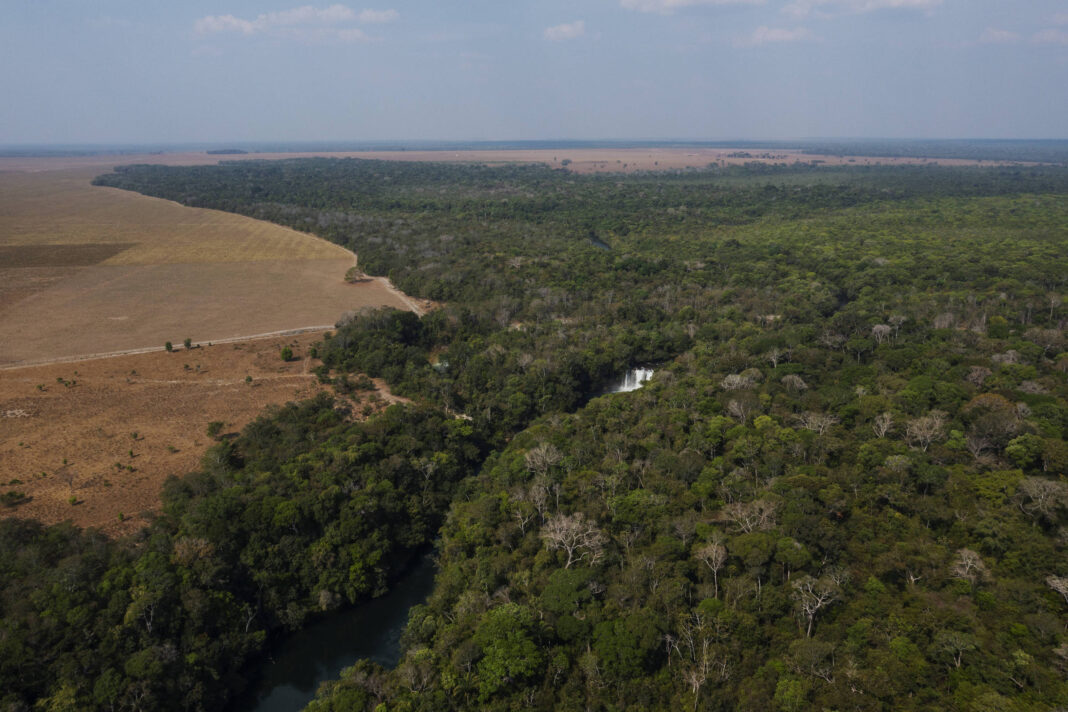 MT aciona STF contra nova demarcação de terra indígena – 22/11/2025 – Ambiente