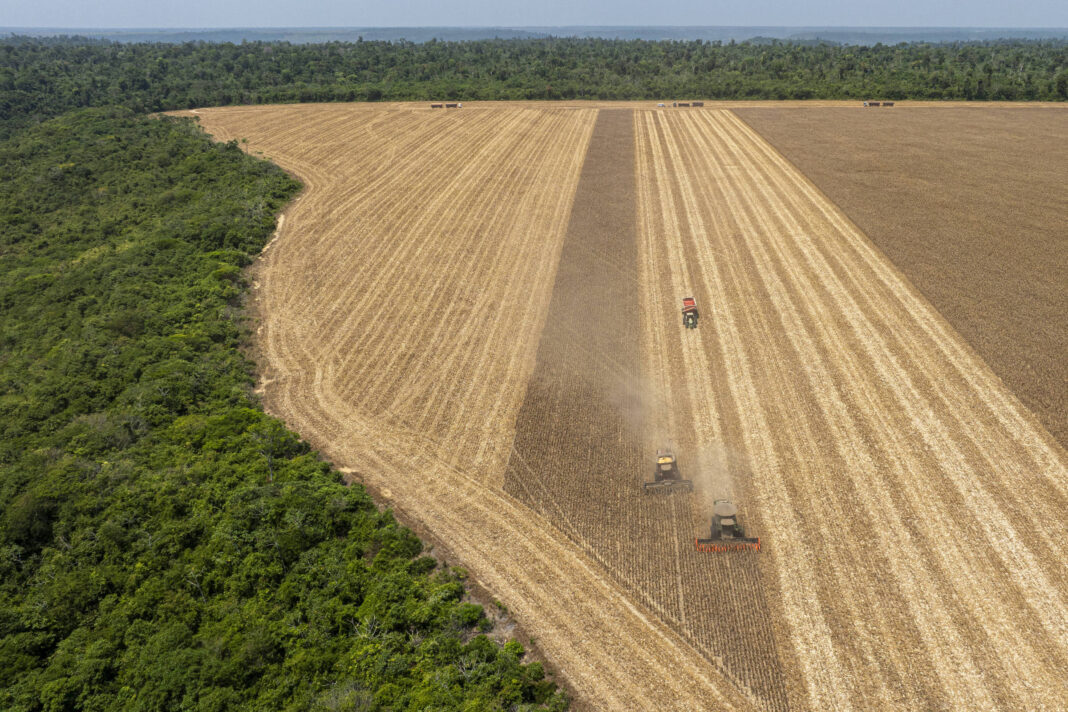 Agro fica com 73% da verba de adaptação ao clima no Brasil – 18/11/2025 – Ambiente