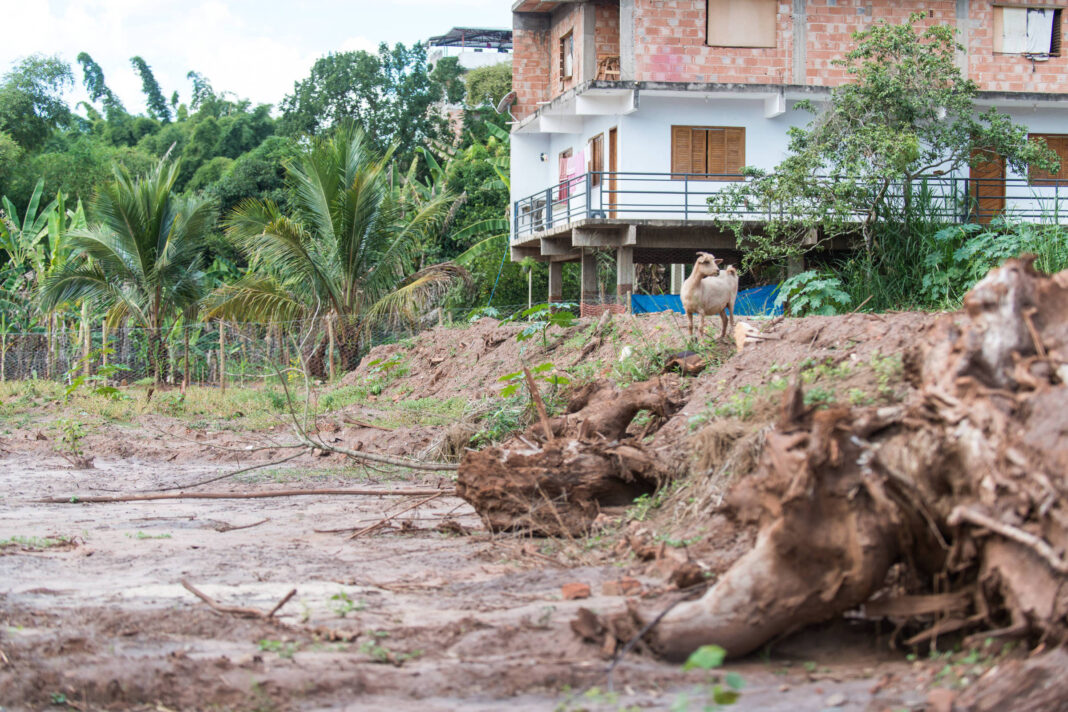 Escritório pagará R$ 5,7 mi a Ibram por desistir de ação – 13/11/2025 – Painel