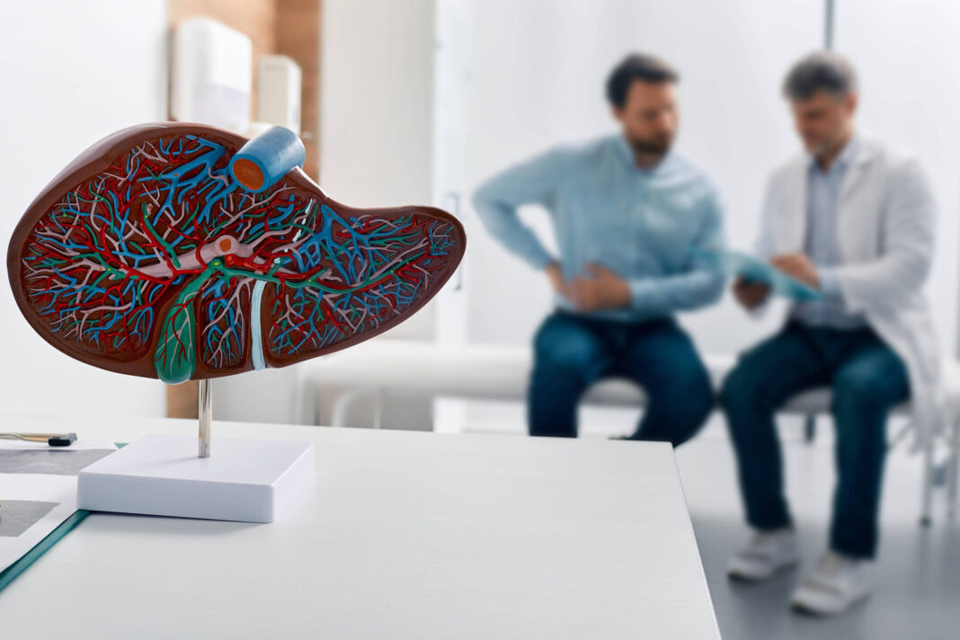 Mudar hábitos pode prevenir câncer de fígado – 21/11/2025 – Equilíbrio e Saúde