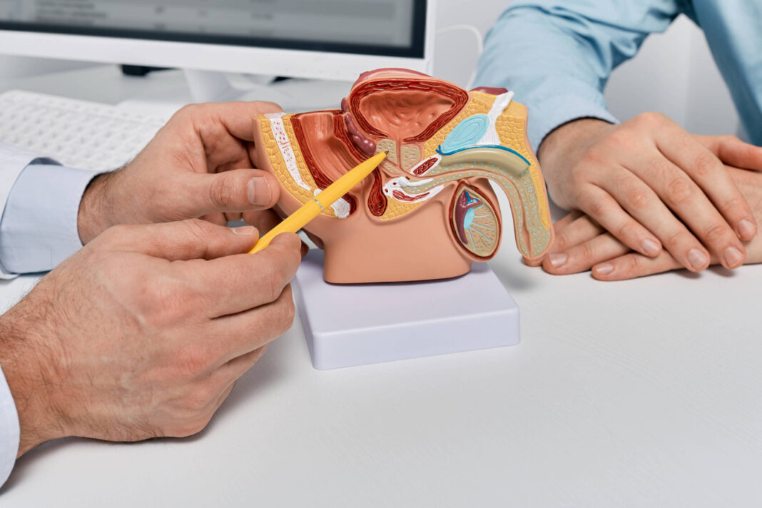 Câncer de próstata: conhecidos exames e novas técnicas – 17/11/2025 – Equilíbrio e Saúde