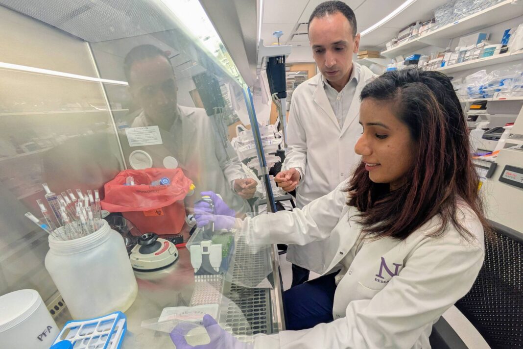 Estudo mostra anticorpo para combater câncer de pâncreas – 03/11/2025 – Equilíbrio e Saúde