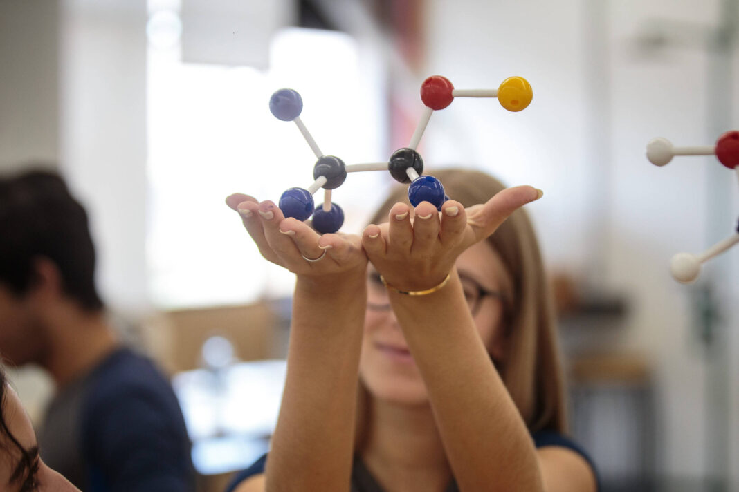 M. Resnick: IA tem resposta; educação precisa de pergunta – 04/11/2025 – Educação