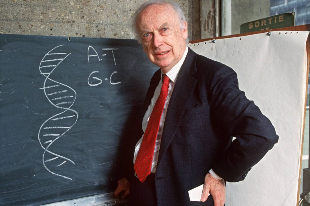 James Watson: hélice de DNA mudou pensamento sobre humanos – 24/11/2025 – Ciência