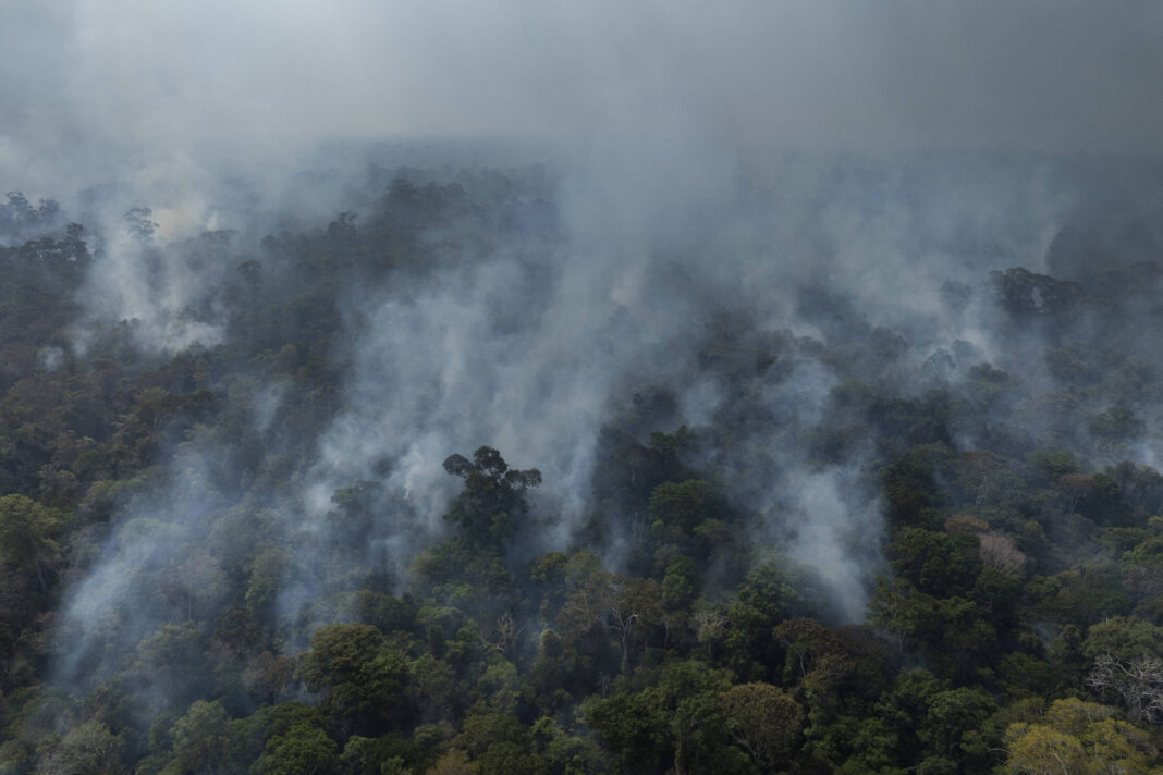 ONU: Ignorar clima custará 33% do PIB de Brasil e vizinhos – 16/11/2025 – Ambiente