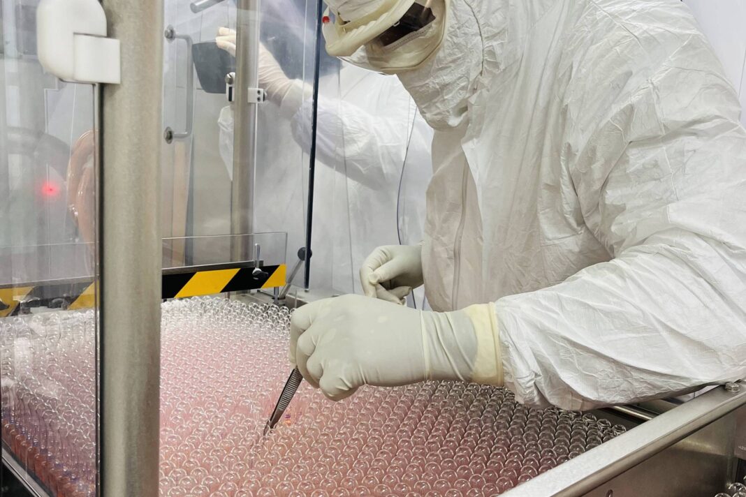 RJ volta a fazer soro contra picadas de cobra e escorpião – 21/11/2025 – Equilíbrio e Saúde