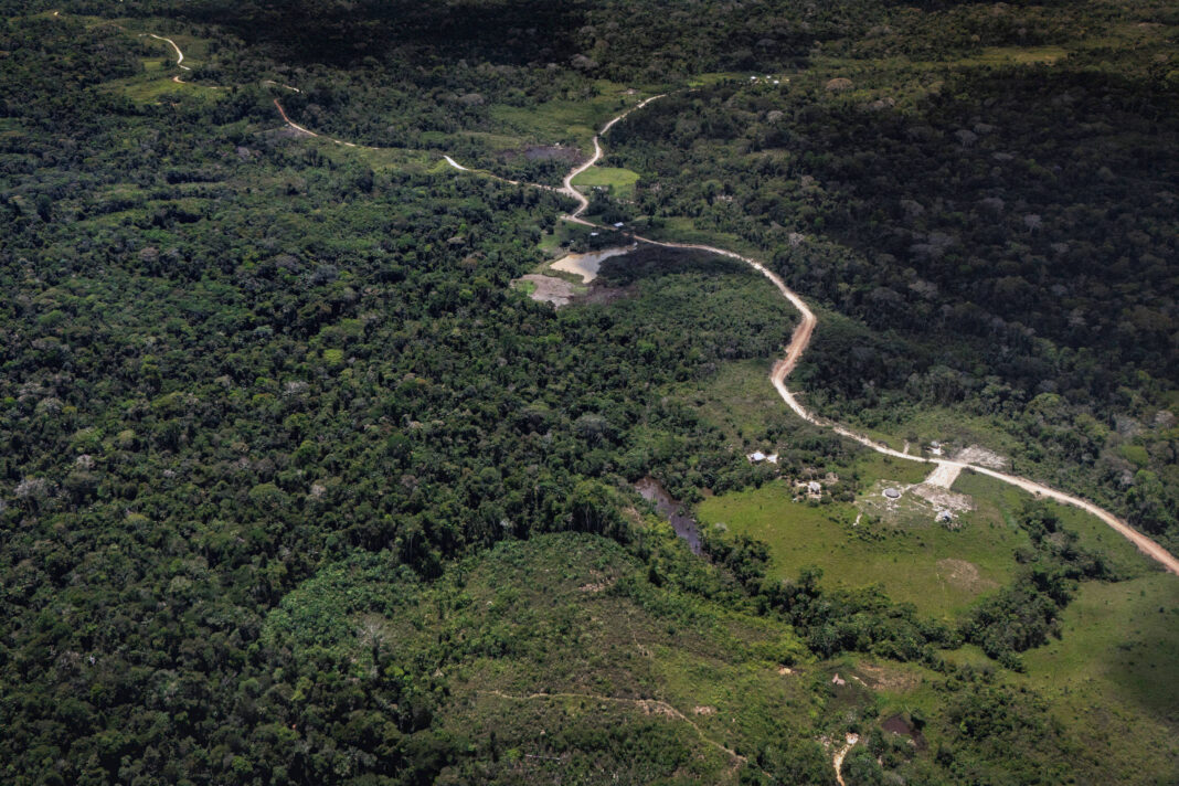 STF manda PF apurar emendas de máquinas usadas em desmate – 24/11/2025 – Poder