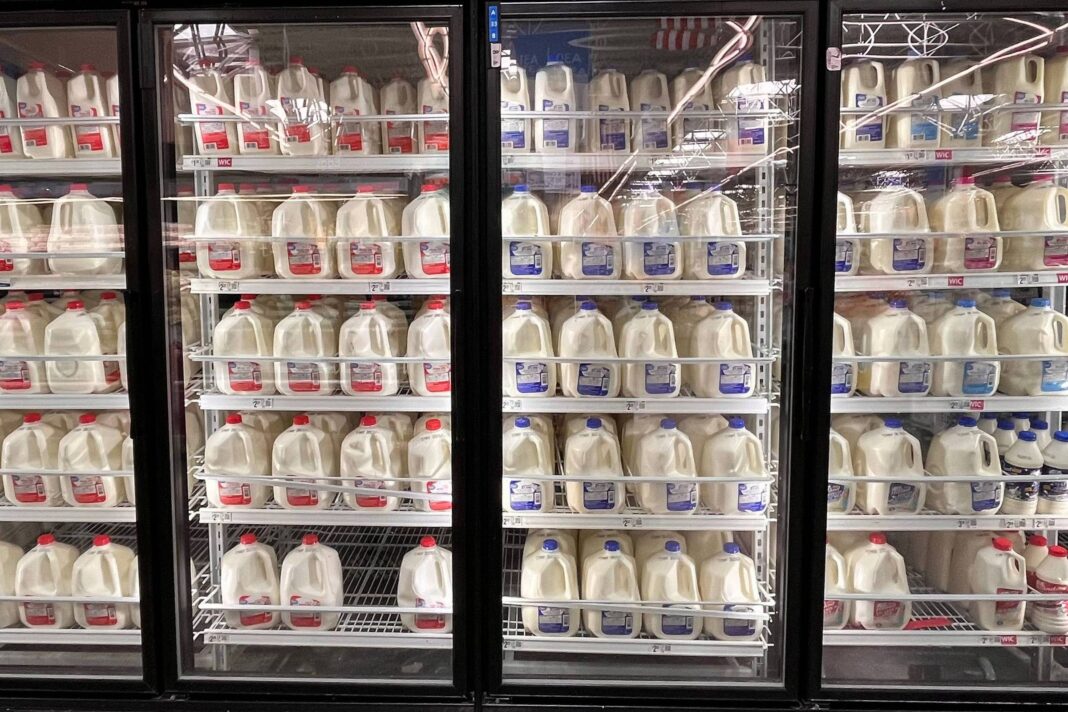 Ciência revê riscos dos laticínios integrais – 28/11/2025 – Equilíbrio