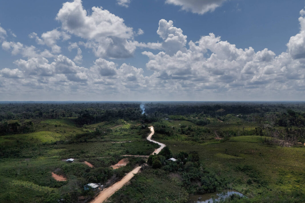 Ruralista diz que veto do licenciamento não é retaliação – 26/11/2025 – Painel