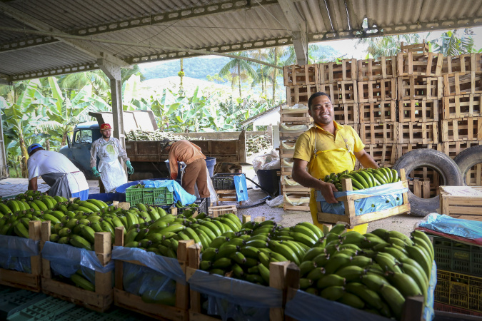 Pavimentação de estrada rural vai facilitar escoamento da produção de Guaratuba