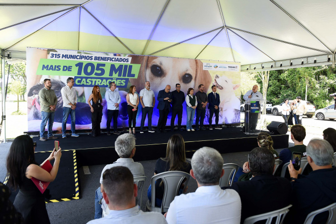 Com previsão de 105 mil castrações, maior ciclo do CastraPet começa nesta quinta