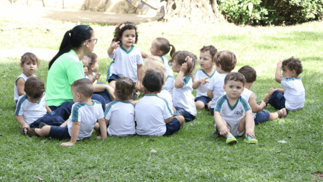 Procreche 2026: cadastro e requisitos