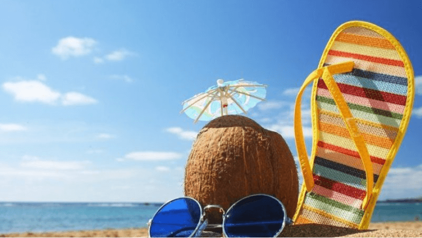 Programas férias 2026: opções gratuitas