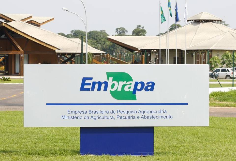 Estudo dos EUA elogia Embrapa e o sucesso do agro brasileiro