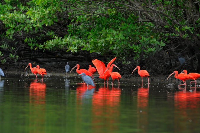 Experiências turísticas do Paraná são destaque em guia nacional durante a COP30