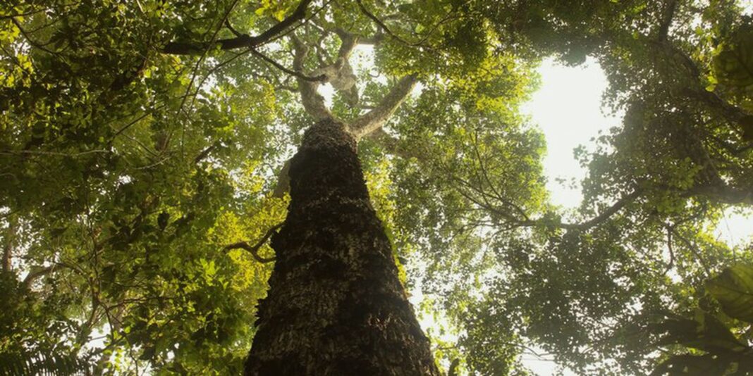 TV Brasil estreia nova temporada de “Parques do Brasil” neste domingo
