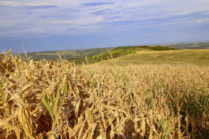 Monitor de Secas: Campos Gerais, Norte Pioneiro e Leste tiveram pouca chuva em outubro