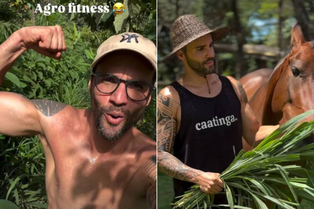 Daniel Cady, ex de Ivete Sangalo, se exibe na internet – 01/12/2025 – Celebridades