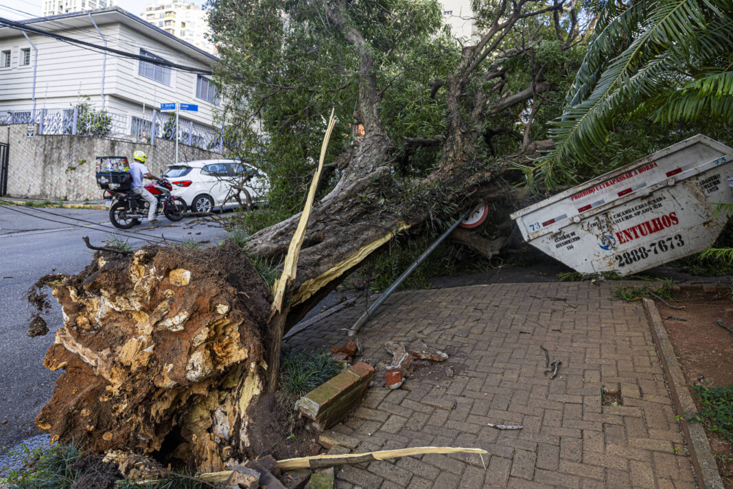 Vendaval de quarta foi o 3º mais forte de SP desde 2006 – 12/12/2025 – Cotidiano