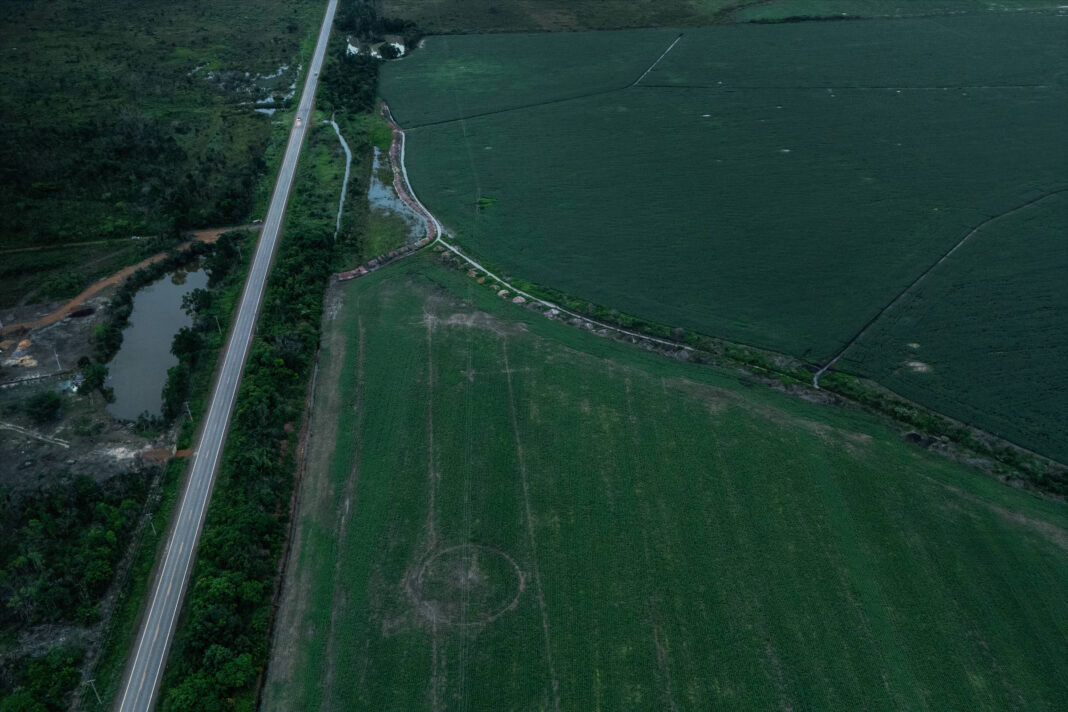 Líder de desmate tem 1 em 3 máquinas de emenda na Amazônia – 28/12/2025 – Política