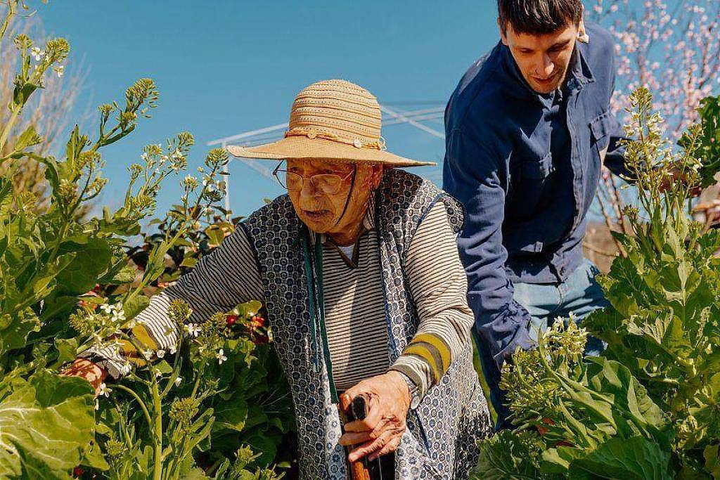 HIIT: Como microssessões de exercício ajudam a viver mais – 14/12/2025 – Equilíbrio