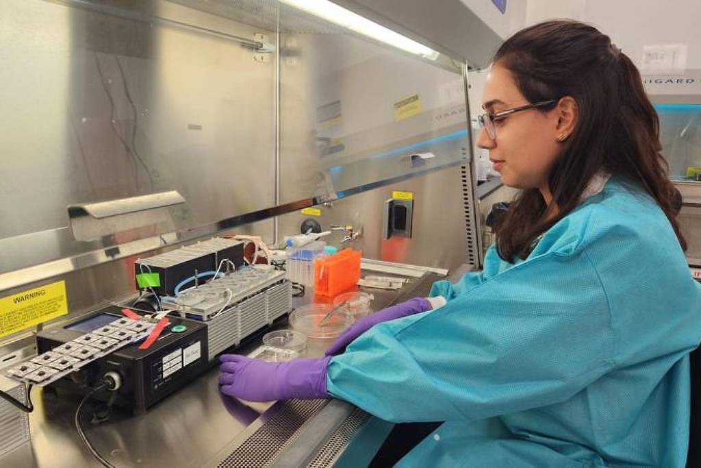 Estudo brasileiro reverte sintoma de síndrome de Rett – 25/12/2025 – Equilíbrio e Saúde