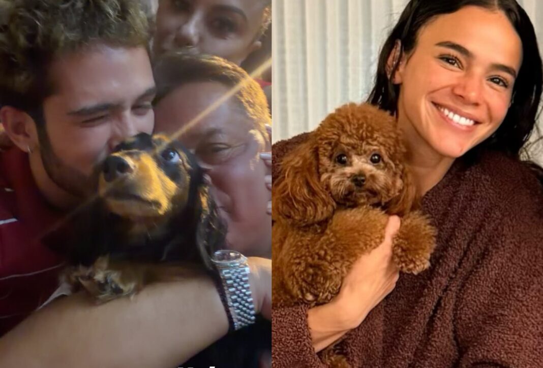 Ex-namorados, Bruna Marquezine e João Guilherme separam ‘filhos’ pets para festas de Natal