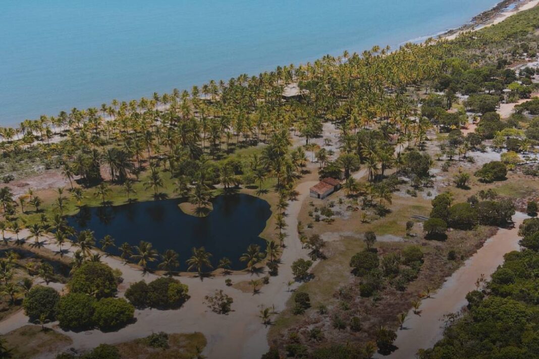 Megaempreendimento na Bahia é projetado para Copa feminina – 25/12/2025 – Painel S.A.