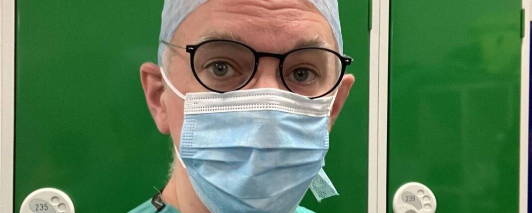 Os fragmentos de cérebros usados na corrida para achar cura do Alzheimer – 26/12/2025 – Equilíbrio e Saúde