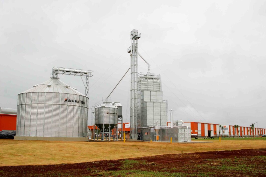 Minoritários da Kepler preparam laudo sobre fusão com GPT – 30/12/2025 – Painel S.A.