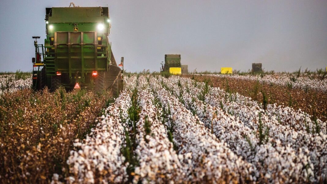 burocracia e custos para o produtor rural