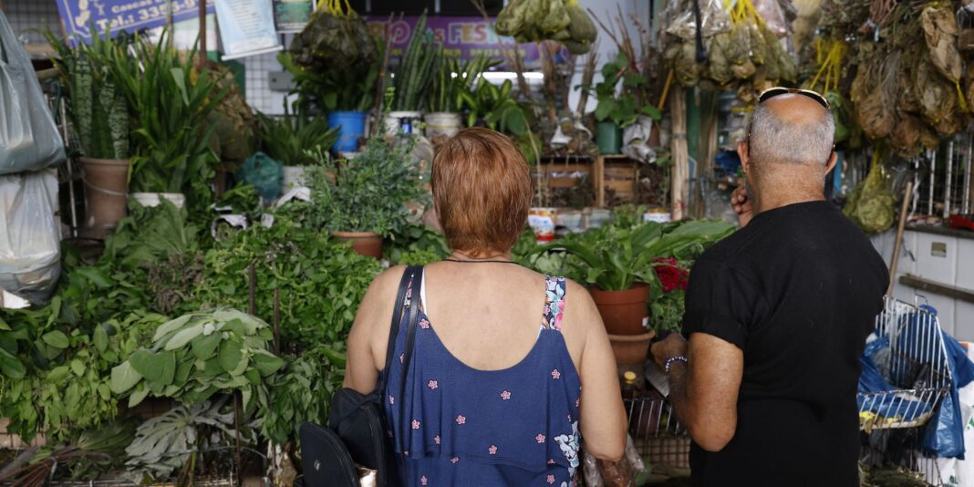 Tradição e fé impulsionam busca por banhos e ervas no fim de ano