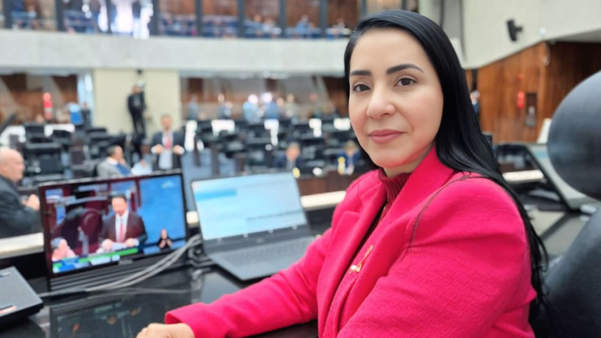 Assembleia Legislativa do Paraná | ALEP | Notícias > Comissão de Defesa dos Direitos da Mulher consolida avanços legislativos e audiências públicas em 2025