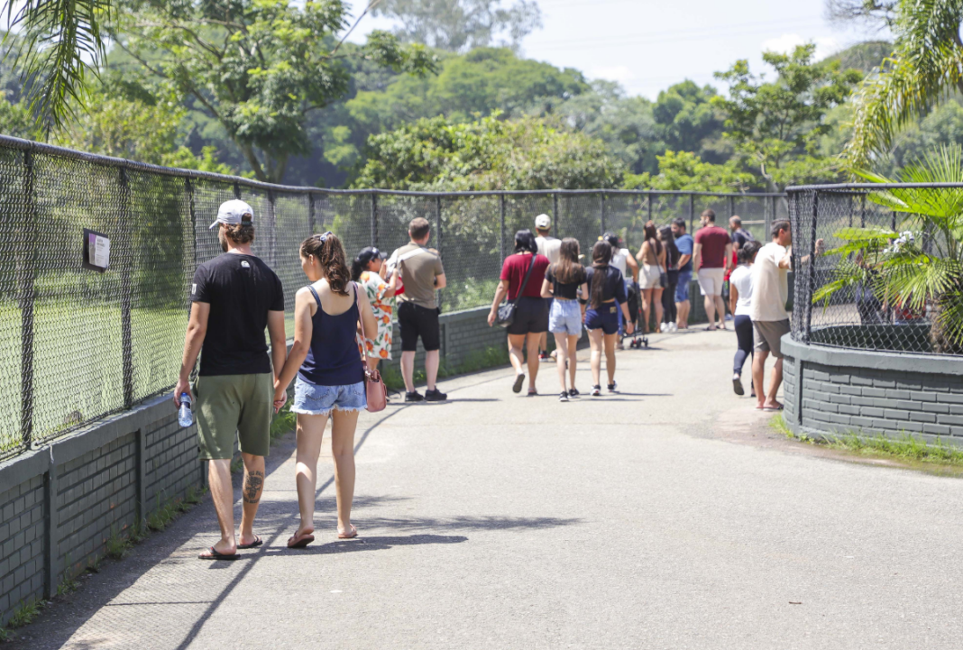 confira o tempo em Curitiba