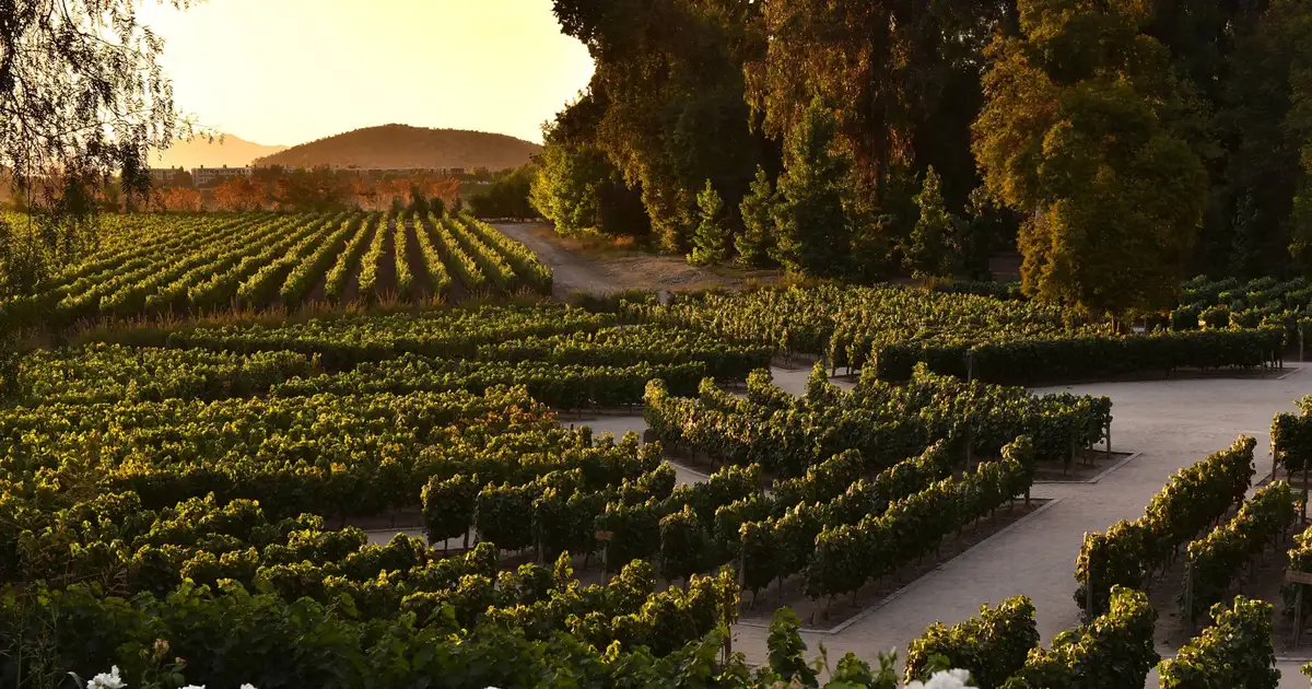 Concha y Toro inaugura centro de enoturismo na região de Santiago