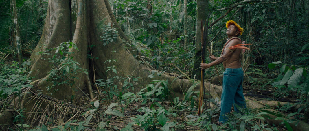 Terra indígena: pecuária no Burareiro devasta região – 09/01/2026 – Txai Suruí