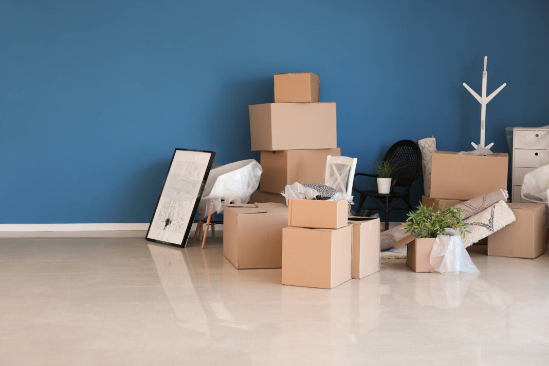 Que o Ano Novo traga coragem para ter mais autonomia – 01/01/2026 – Haja Vista