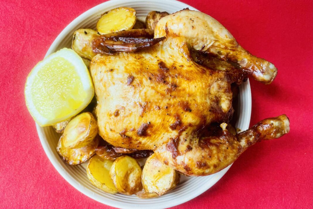 Frango assado em casa: comprei TV de cachorro com desconto – 28/11/2024 – Cozinha Bruta