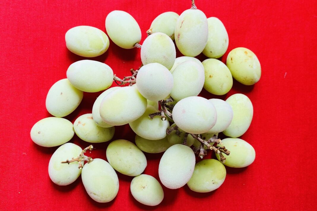 As 12 chances de morrer na ceia de Réveillon – 27/12/2024 – Cozinha Bruta